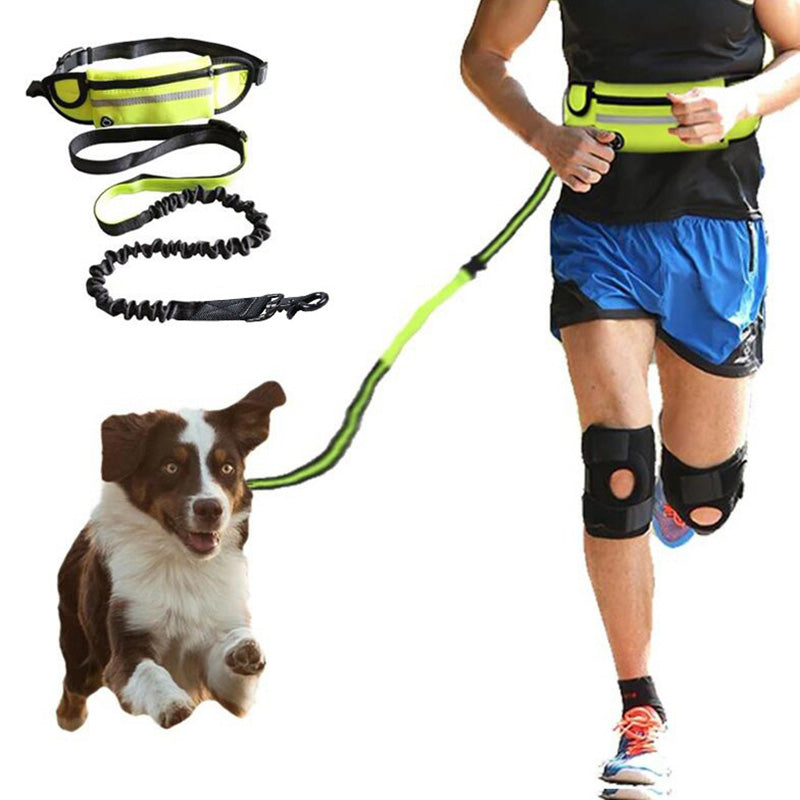 Hands-free dog walking belt with shock-absorbing bungee leash