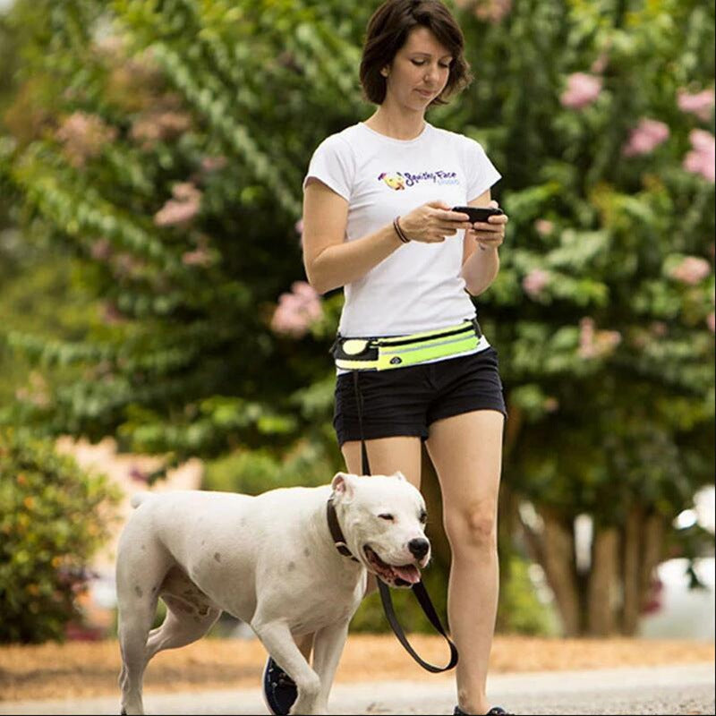 Woman walking her dog hands-free while wearing a dog walking belt