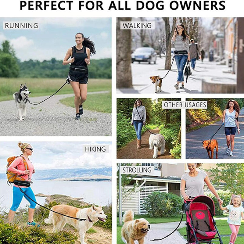 Hands-free dog walking belt for running, walking, hiking and everyday activities