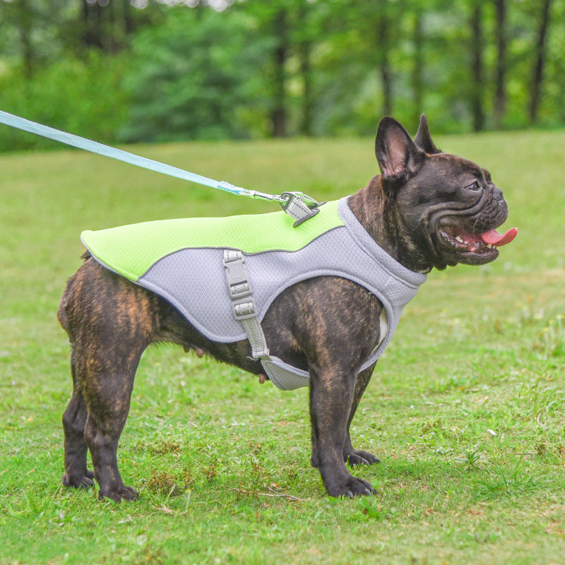 French bulldog wearing a green dog cooling vest with adjustable straps and leash attachment